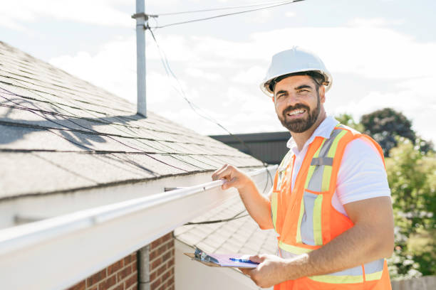 Best Roof Moss and Algae Removal  in Laurel Hill, VA